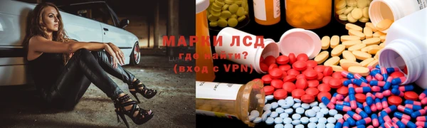 ГАЛЛЮЦИНОГЕННЫЕ ГРИБЫ Няндома