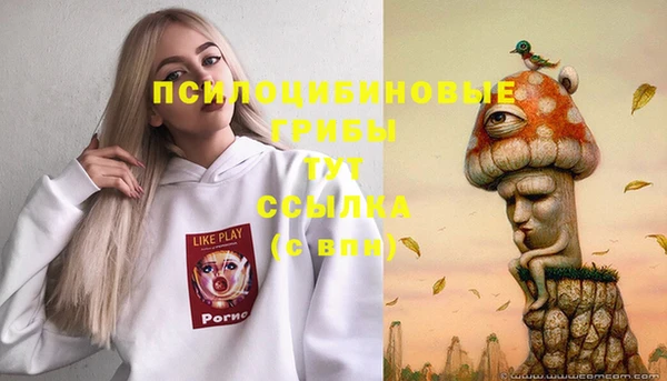 MDMA Новозыбков