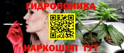 шишки Ипатово
