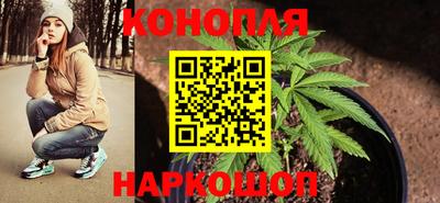 шишки Ипатово