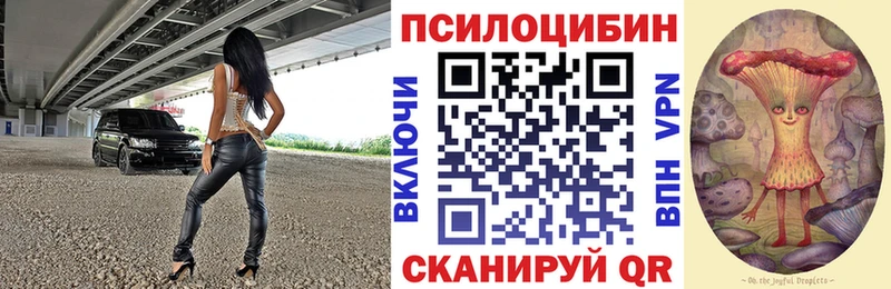 закладка  Кировск  Галлюциногенные грибы Cubensis 